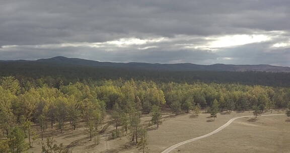 俄罗斯西伯利亚森林平原