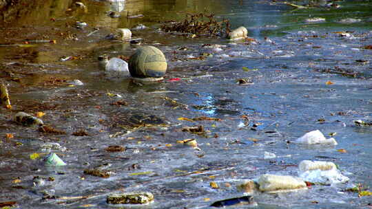 河里的垃圾 漂浮在河面的塑料瓶视频素材模板下载