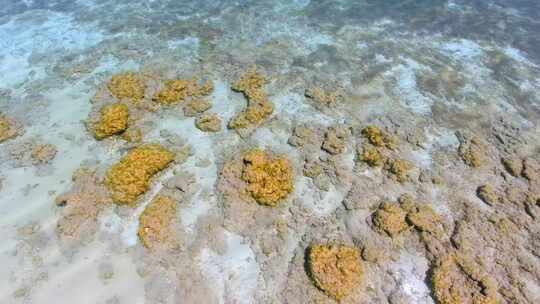 热带海岸线透明绿松石浅蓝色海洋中的白沙珊瑚礁
