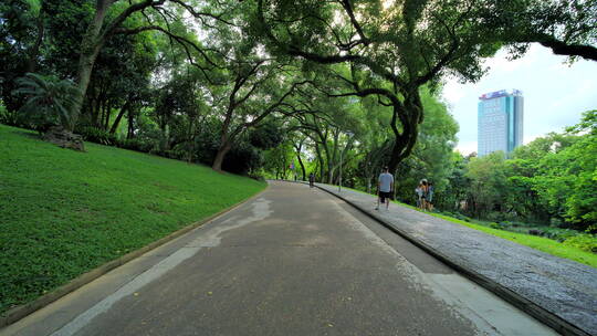 公园跑道林荫大道林间小路