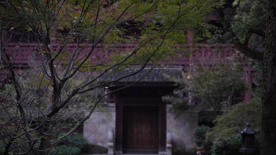 杭州飞来峰永福寺禅院风景