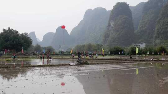 农民在水田中弯腰插秧的场景