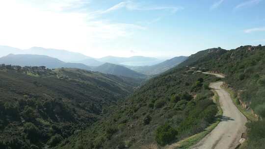 山脉，森林，树木，道路