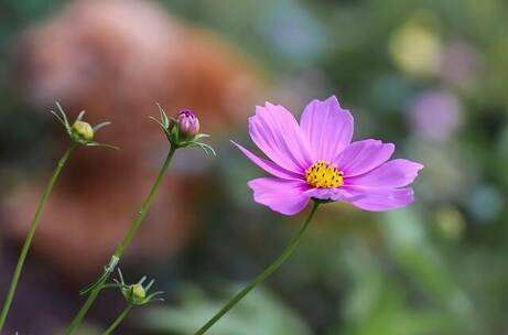 烟台浪韵 浪幽 冥想 平抚 宣传片 短 烟台浪韵 浪幽 冥想 平抚 宣传片 短