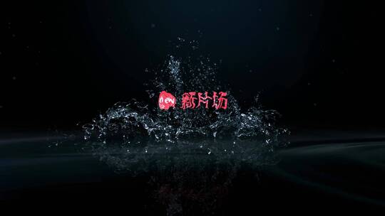 简约专业水面波动logo演绎