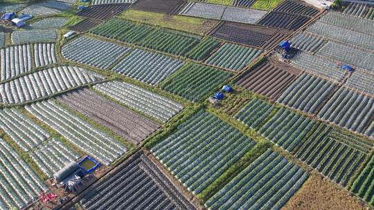 农田农业种植航拍