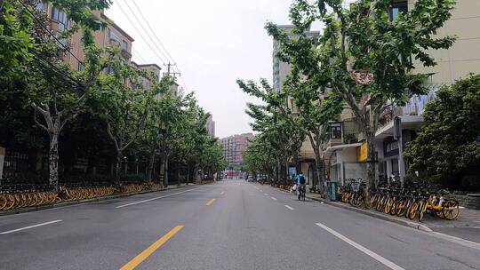 上海封城中的绿荫城市街区街道