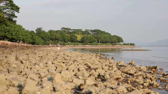 海边人流延时