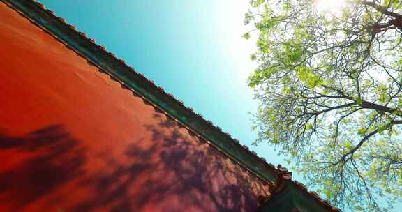 北京雍和宫红墙光影绿树