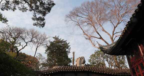 园林冬季屋顶建筑风光