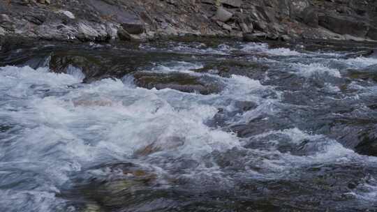 溪流水流流水水花水源流动视频素材模板下载