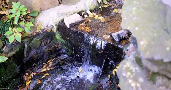 杭州永福寺清澈的瀑布水流慢镜头