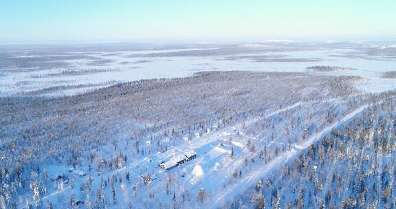 鸟瞰被白雪覆盖北极牧场里的树木和房屋