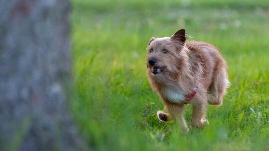 焦作云台幽 悠远 原声 宁静 微电影 焦作云台幽 悠远 原声 宁静 微电影