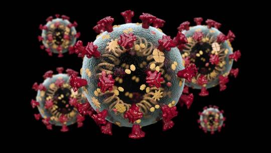 新冠病毒分子结构