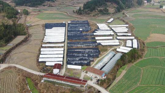 航拍春耕农田农业大棚种植基地农作物