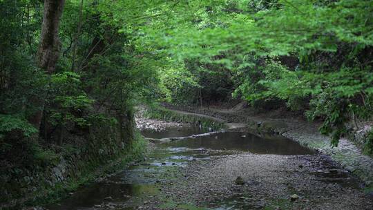 天台山国清寺禅院建筑视频