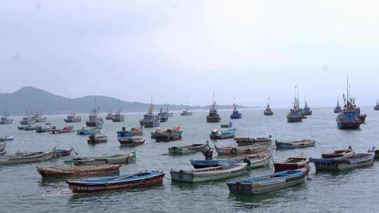 海上摆列整齐的渔船