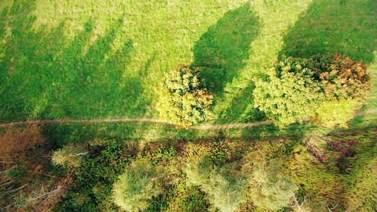 直道上的鸟瞰图，五颜六色的乡村秋林。罗亚上方的鸟瞰图