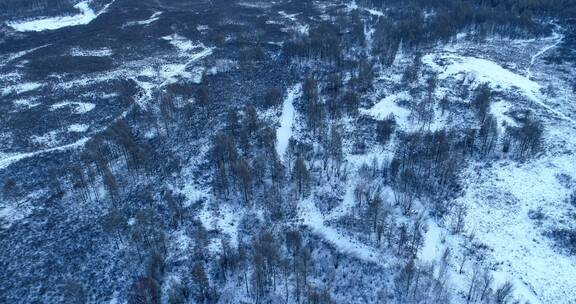 航拍大兴安岭冻土地带森林湿地雪景