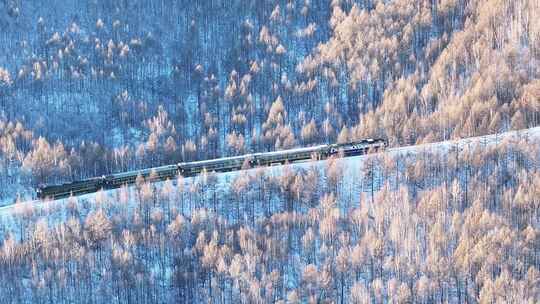 航拍穿越林海雪原雾凇林的绿皮火车250105