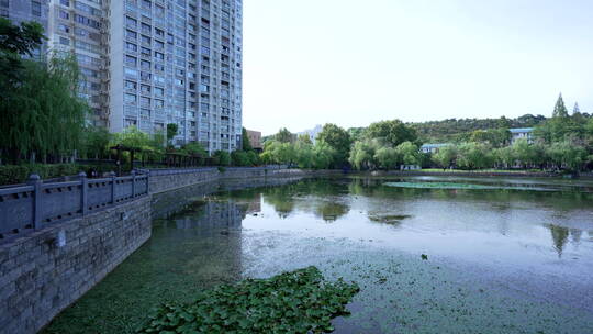 武汉汉阳莲花湖公园风景
