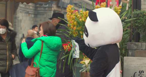 成都街头游客和熊猫合照