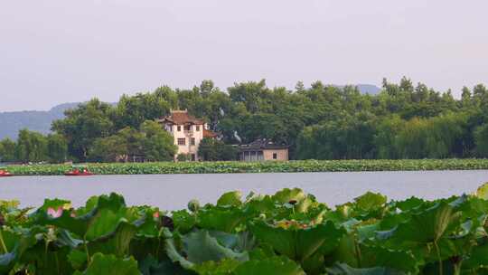 杭州西湖夏天荷花江南风景