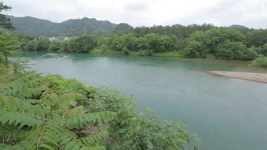 浙江仙居植被高清是实拍