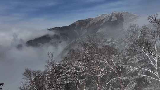 4K秦岭朱雀国家森林公园（冰晶顶）雪景航拍