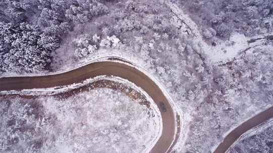 天台山华顶航拍冬季蜿蜒雪路与树林景象