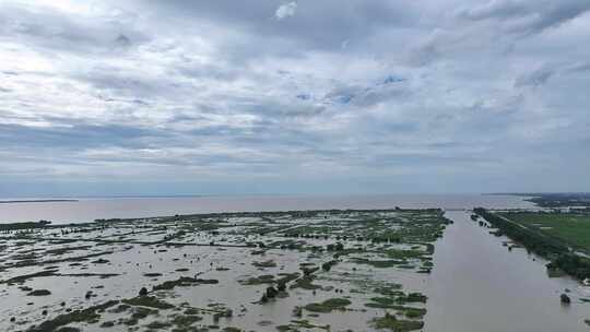 夏天汛期高邮湖、邵伯湖滩涂及高邮湖特大桥