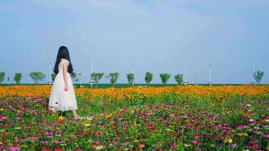 女孩走在花海 感受自然