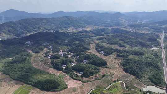 秋收美丽乡村田园金黄稻田农业种植航拍