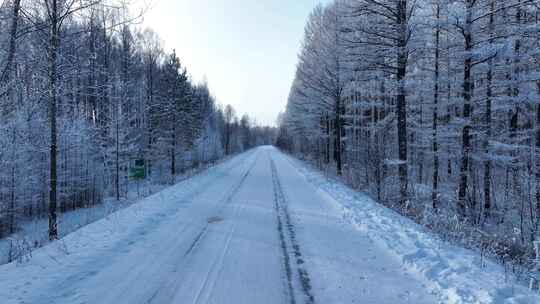 冬季雪景松林松树林林间道路冰雪路面
