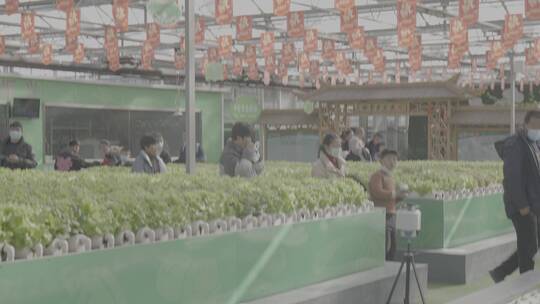 科技农业温室大棚-智慧农业