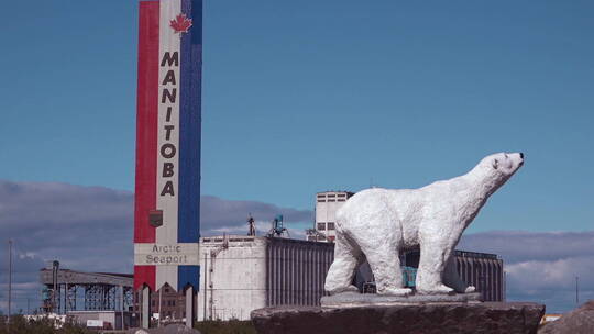 北极熊雕塑视频素材模板下载