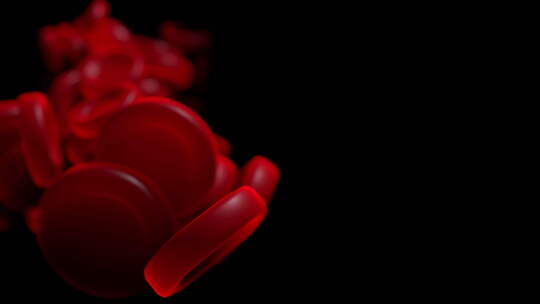 血液细胞血细胞的活动视频素材模板下载