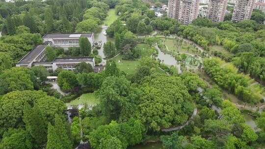 上海植物园航拍品种绿色植被4K航拍