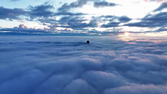 航拍云层日出云海-上海中心大厦上空