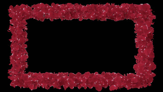 4k玫瑰花瓣飘落心型视频素材 (6)视频素材模板下载