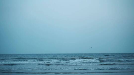 阴天大海飞鸟海上明月晚上海边沙滩伤感大海