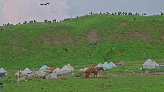 新疆唐布拉草原游牧人家