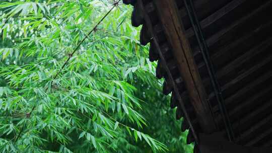 古建筑屋檐下雨