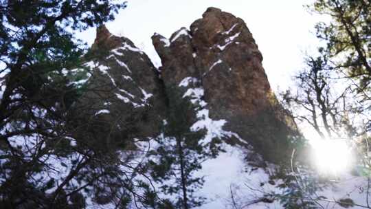 阳光明媚的日子里，白雪皑皑的森林里有突出