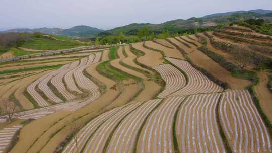 宝鸡梯田  汉封梯田