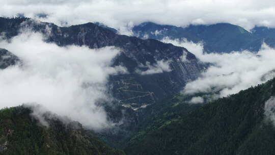 云南松茸群山盘山公路云雾山顶的房子