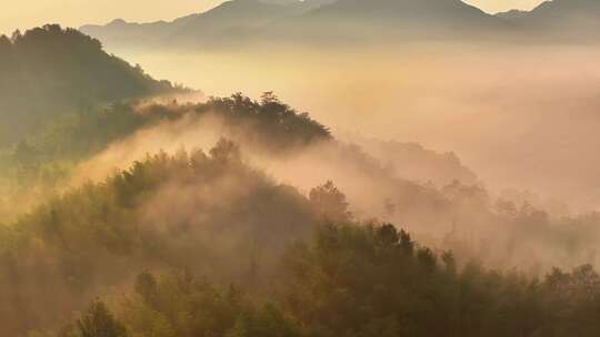 乡村田野山林俯瞰景象