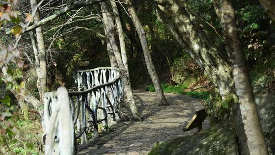 天台山石梁飞瀑石路