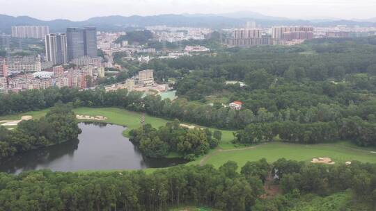 航拍深圳龙华区观澜高尔夫球场视频素材模板下载